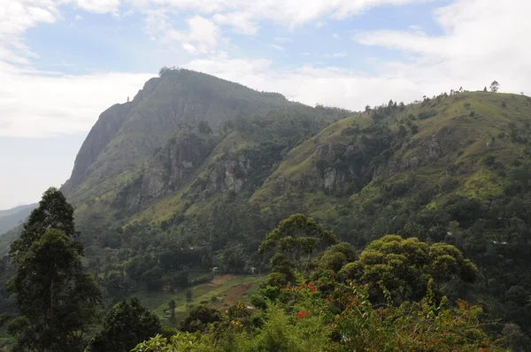 Paisaje de montaña en los alrededores de Nuwara Eliya . — Foto de Stock
