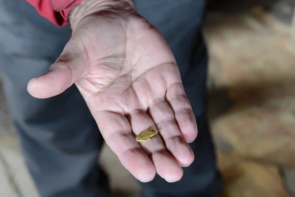 A gold nugget was found at the mine in Tierra del Fuego. — Stock Photo, Image