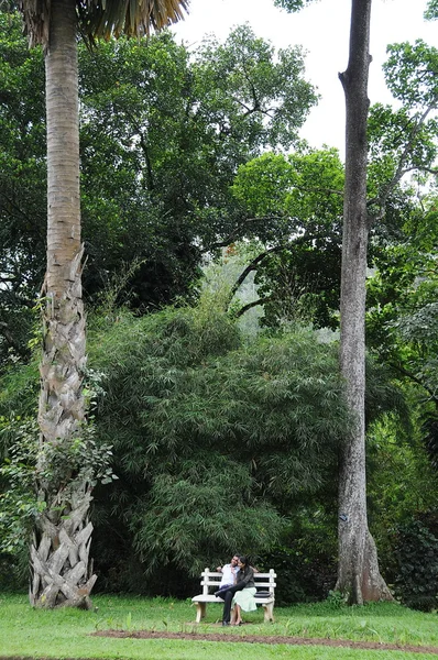 Jardines botánicos reales únicos en Peradeniya es considerado como uno de los mejores de Asia. Turistas de vacaciones en el Parque . —  Fotos de Stock