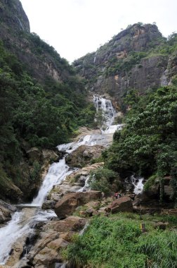 Nuwara Eliya yakınındaki derin orman şelale.
