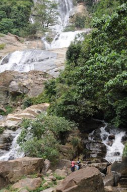 Nuwara Eliya yakınındaki derin orman şelale.