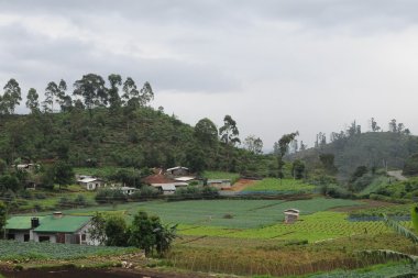 Dağ köyü Nuwara Eliya çevresinde.