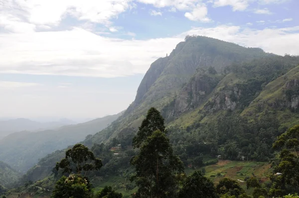 Paisaje de montaña en los alrededores de Nuwara Eliya . — Foto de Stock