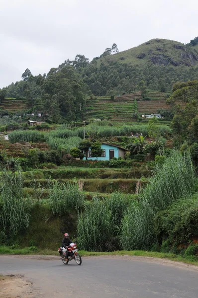 Pueblo de montaña en los alrededores de Nuwara Eliya . — Foto de Stock