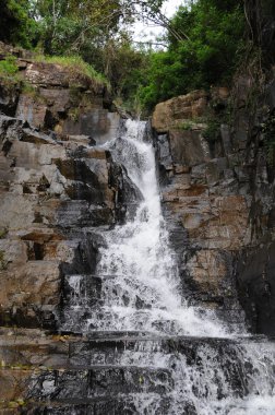 Nuwara Eliya yakınındaki derin orman şelale.