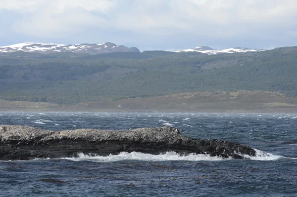 Le canal Beagle séparant l'île principale de l'archipel de Tierra del Fuego et situé au sud de l'île . — Photo