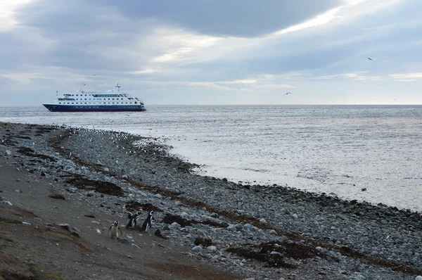 Crucero "Via Australis" en la isla chilena de Magdalena . — Foto de Stock