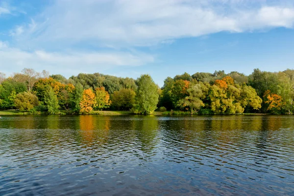 Autumn landscape on the river. Trees by the river