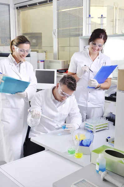 Attractive young PhD students scientists observing in the labora — Stock Photo, Image