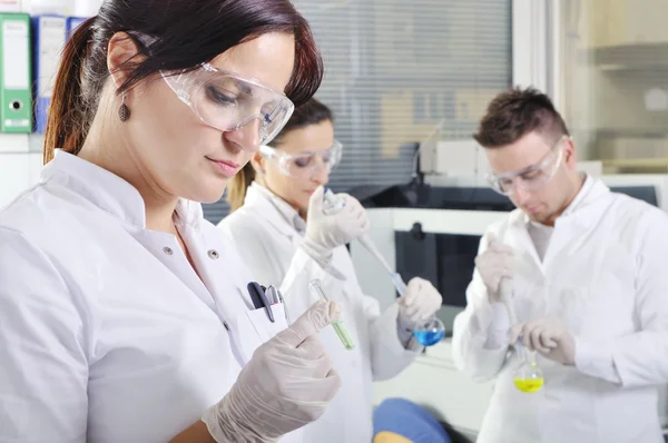 Jeunes doctorants attractifs scientifiques observant dans le labo — Photo