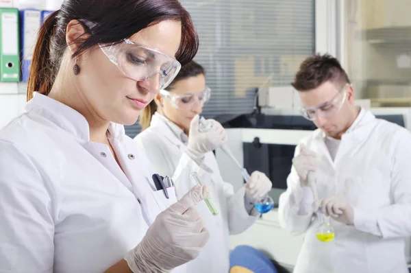 Attractive young PhD students scientists observing in the labora — Stock Photo, Image