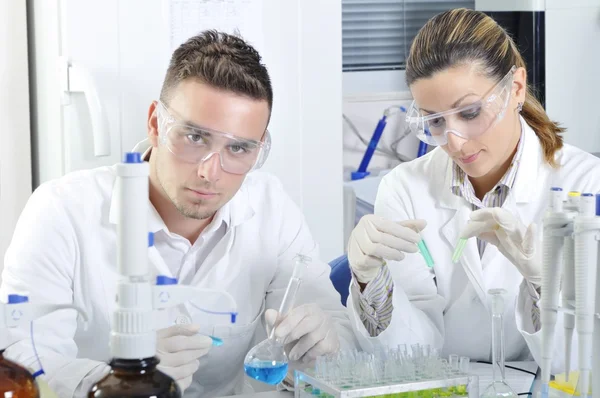 Attractive young PhD students scientists observing in the labora — Stock Photo, Image