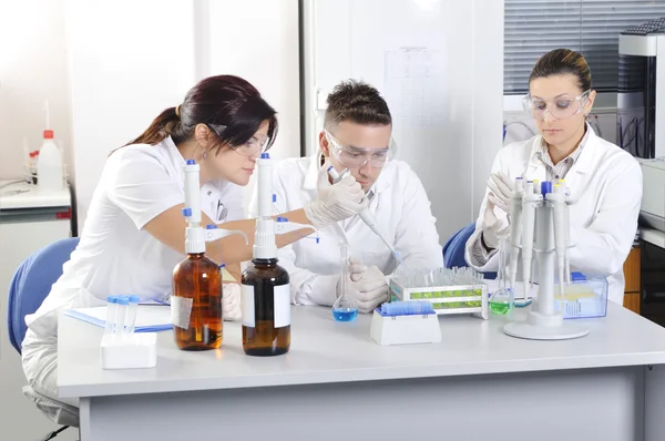 Attractive young PhD students scientists observing in the labora — Stock Photo, Image