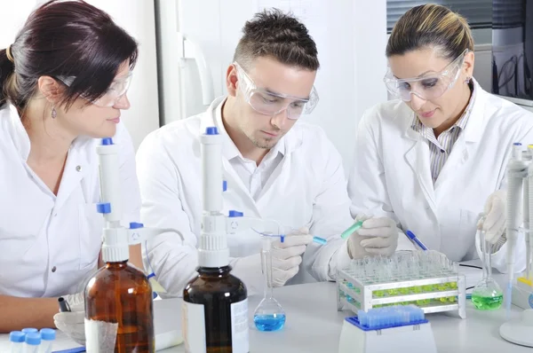 Attractive young PhD students scientists observing in the labora — Stock Photo, Image