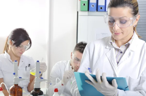 Attractive young PhD students scientists observing in the labora — Stock Photo, Image