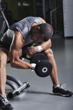 Pazı egzersiz Dumbbells ile yaparak bir oturma konumu yakışıklı kaslı erkek modeli