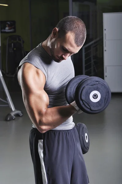 Modelo masculino musculoso guapo haciendo ejercicio de bíceps con pesas Imagen De Stock