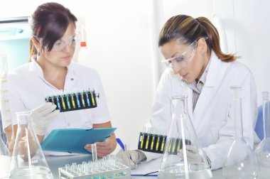 Sonra çözüm destillation kimyasal laboratuvar mavi, sarı ve yeşil gösterge renk kayması gözlemleyerek çekici genç doktora öğrencileri bilim adamları