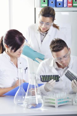 Sonra çözüm destillation kimyasal laboratuvar mavi, sarı ve yeşil gösterge renk kayması gözlemleyerek çekici genç doktora öğrencileri bilim adamları