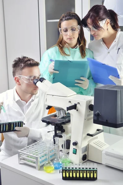 Junge Wissenschaftler untersuchen neue Substanz oder Virus unter dem Mikroskop — Stockfoto