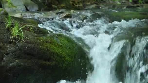 Petite cascade en pierre sur un ruisseau dans les montagnes. Bruit relaxant de l'eau .