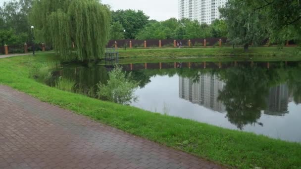 People running in the park around the lake. — Stock Video