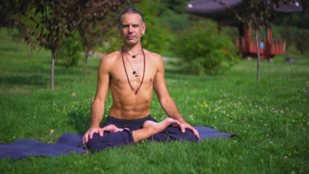 Yogui sobre esteras en el parque demuestra ejercicios con yoga . — Vídeos de Stock