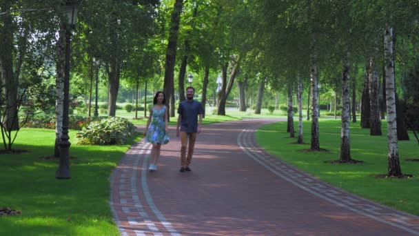 年轻夫妻散步夏天公园与白桦树. — 图库视频影像