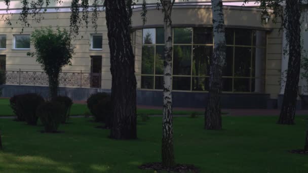 Joven hombre y mujer se reunieron cerca del parque con abedules . — Vídeo de stock