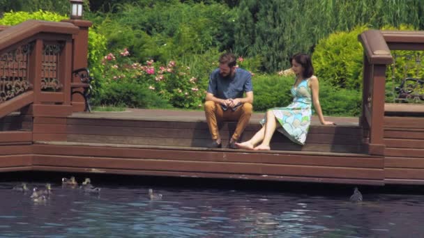 Pareja sentada en un puente de madera y mirando al lago donde nadan los patos . — Vídeo de stock
