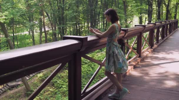 Una chica se para en la barandilla en el puente en el parque y escribe correo . — Vídeos de Stock