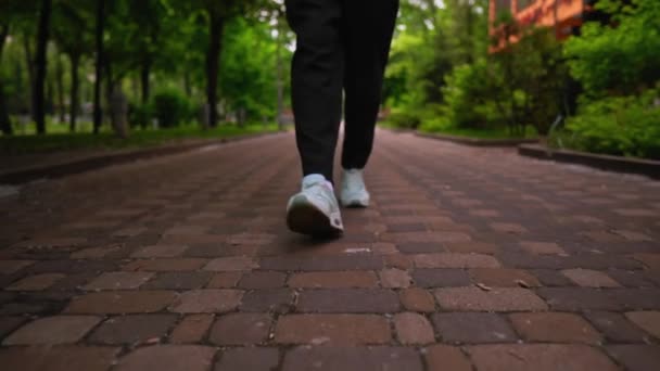 B 롤 수컷 발로 여름철에 산책하는 모습 — 비디오