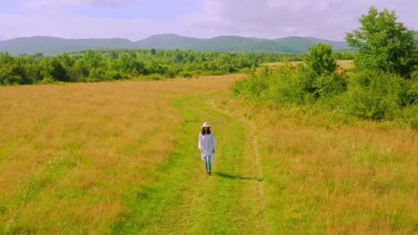 Vista dall'alto sulle passeggiate femminili sul campo — Video Stock