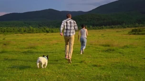 Famiglia con cane divertirsi scena estiva — Video Stock