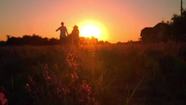 Cena família passeio no prado ao pôr-do-sol — Vídeo de Stock