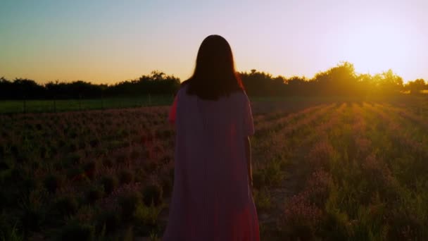 身着淡紫色衣服的女人在日落时散步 — 图库视频影像