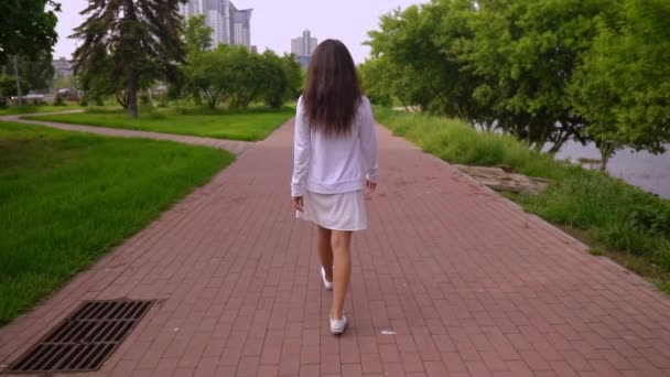 Zpět pohled ženské procházky po ulici — Stock video