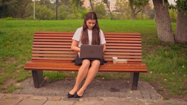 야외에서 노트북으로 일하는 사업가 — 비디오