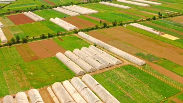 Vista aérea sobre la agricultura de efecto invernadero — Vídeos de Stock