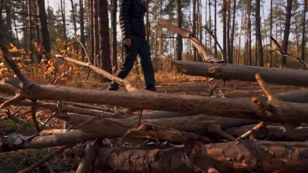 Caminatas femeninas en el bosque — Vídeos de Stock