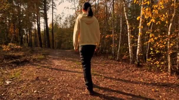 Femme marche dans la forêt d'automne — Video