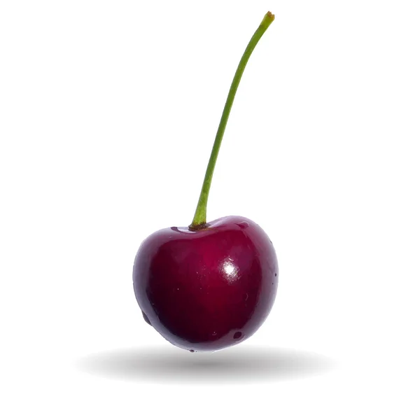 Ripe red cherry berry. Vector. — 스톡 벡터