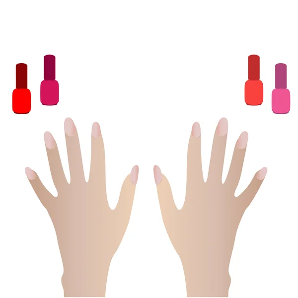 Hand with manicure natural color. Vector — Stockvector
