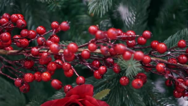 Decorative branch with red berries. — Stock Video