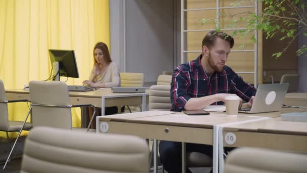Uma jovem equipe de duas pessoas trabalhando no escritório — Vídeo de Stock