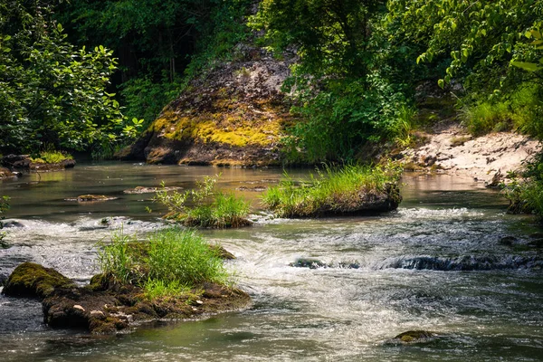 Rio Montanha Fluir Entre Pedras Grama Cênica — Fotografia de Stock