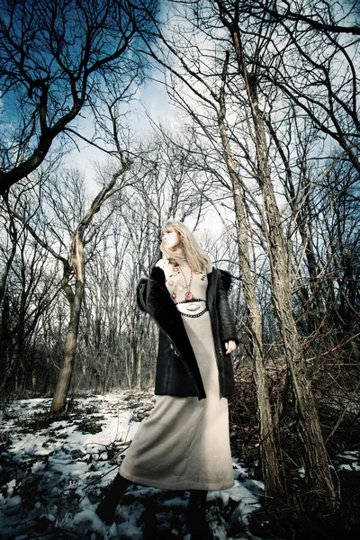 Mujer de moda de invierno — Foto de Stock