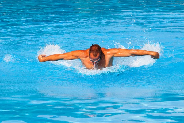 Butterfly swim style — Stock Photo, Image