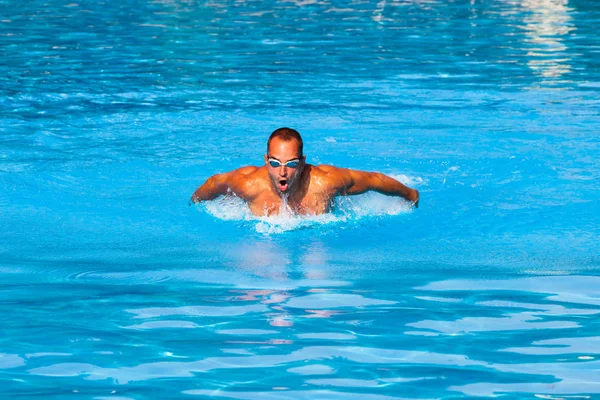 Butterfly swim style — Stock Photo, Image