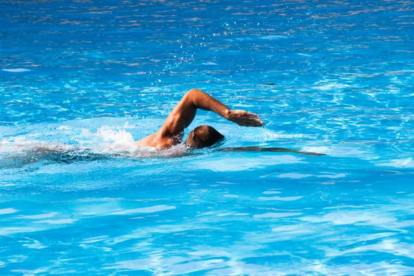 Krabbelstilschwimmen Stockbild